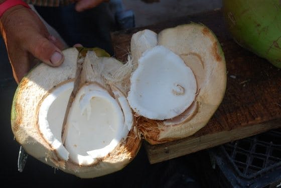 Cayman Islands Coconuts